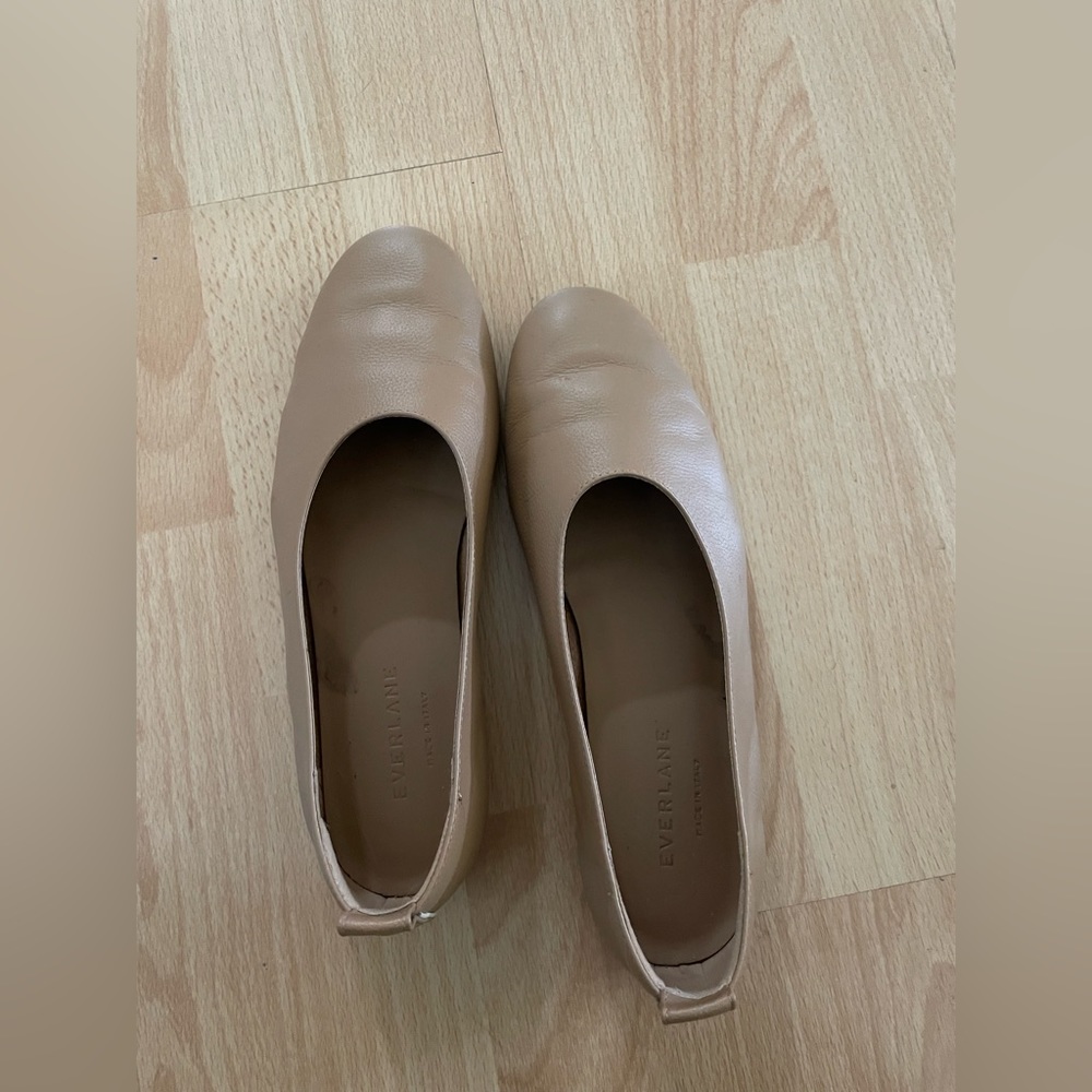 Everlane leather glove in tan size 5.5